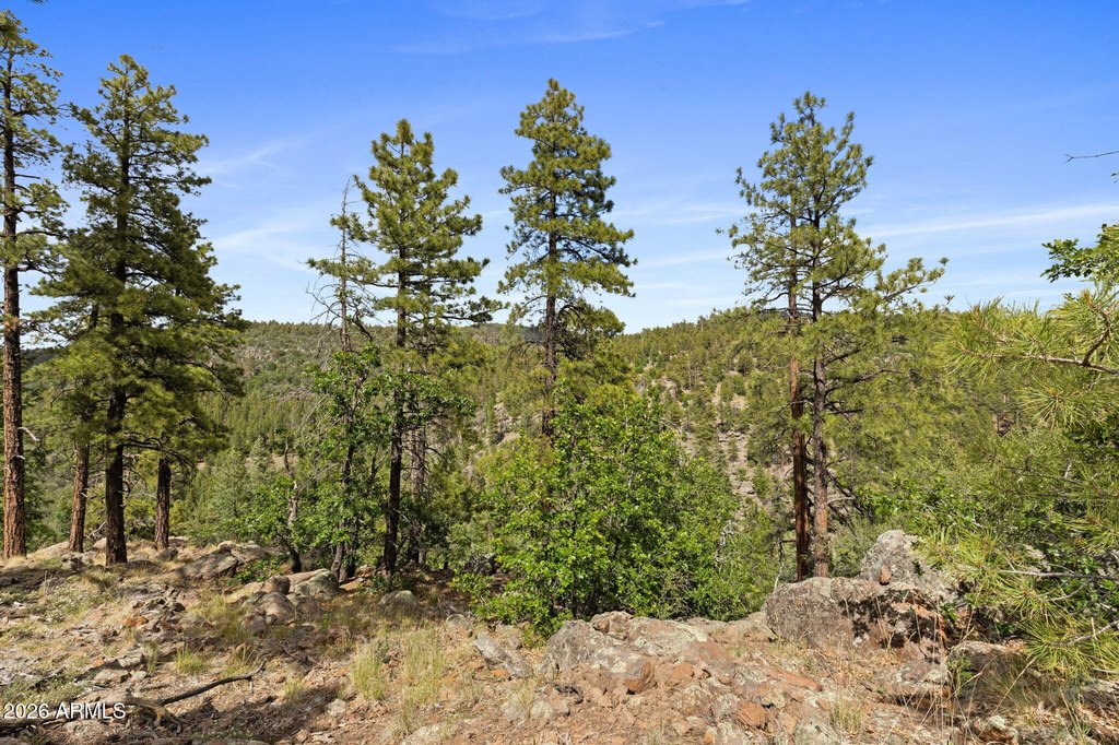 Picture 24