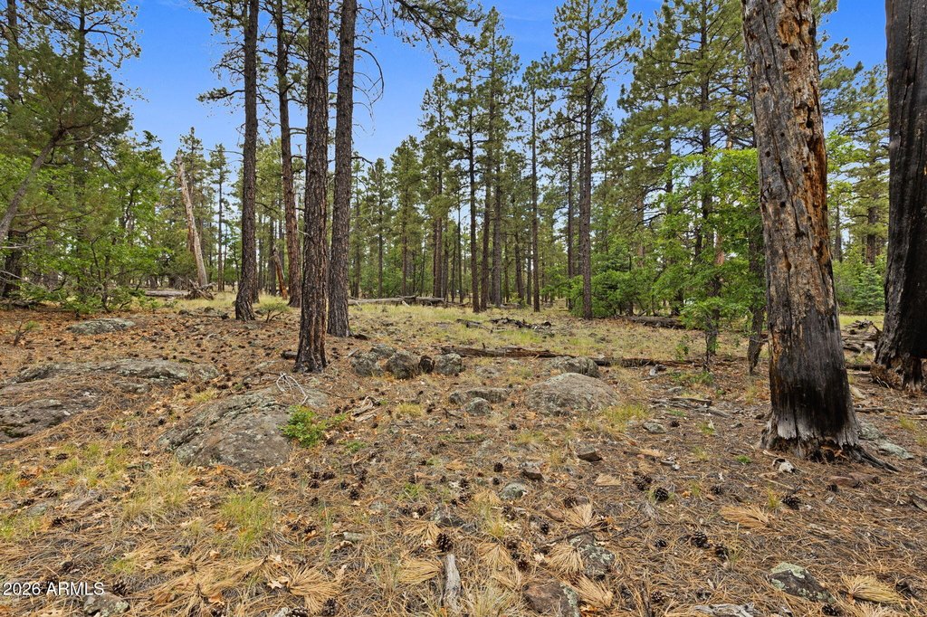 Picture 26