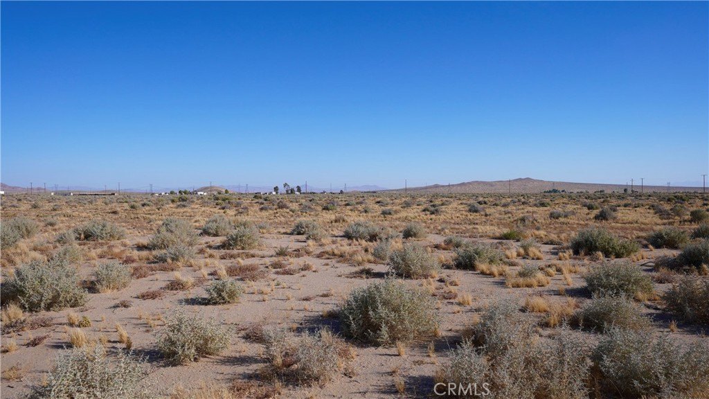 Picture 5