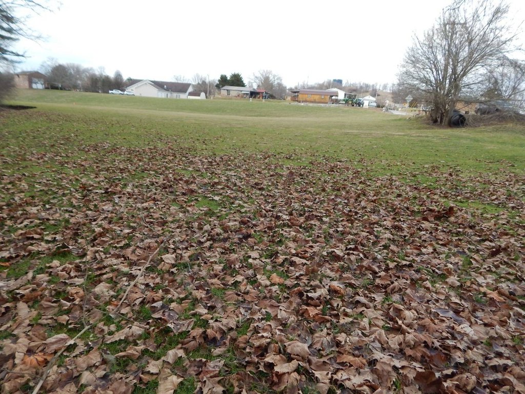 Picture 2