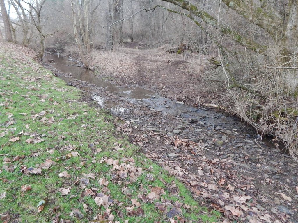 Picture 14
