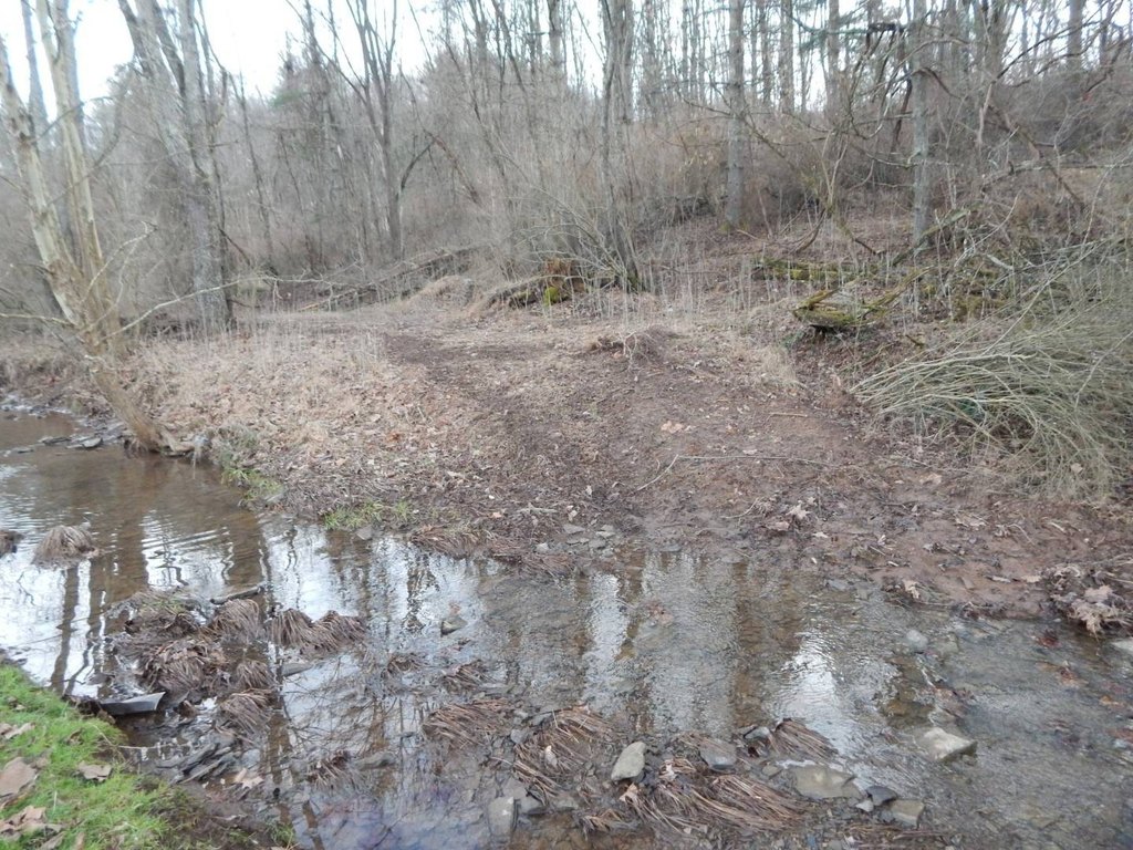 Picture 13