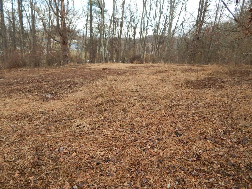 Picture 12