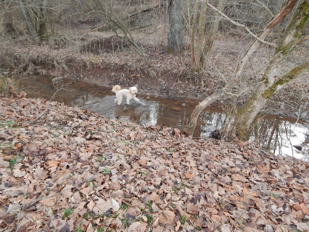 Picture 6
