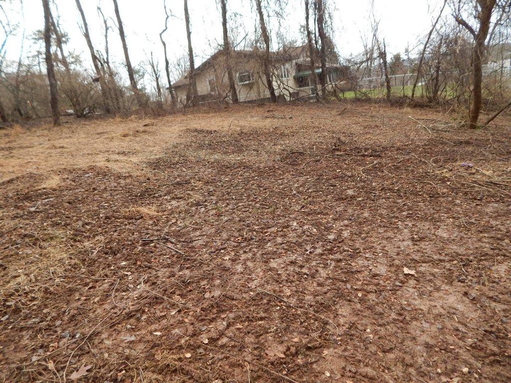 Picture 8