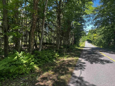 Secluded 40-Acre Wooded Land Parcel