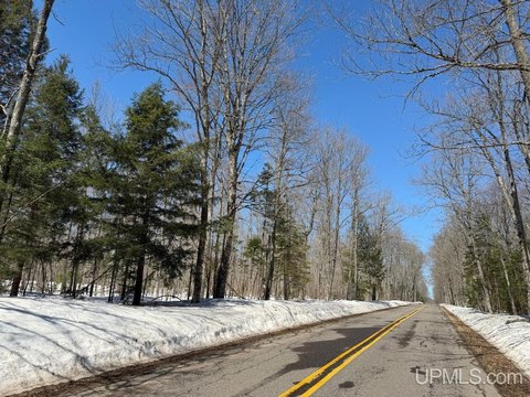 Secluded 40-Acre Wooded Land Parcel
