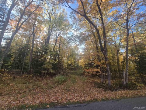 Secluded 40-Acre Wooded Land Parcel