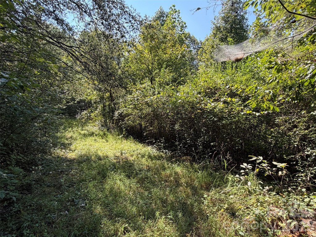 Picture 10