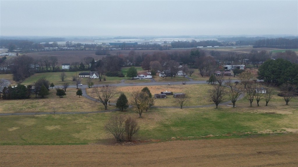 Picture 11