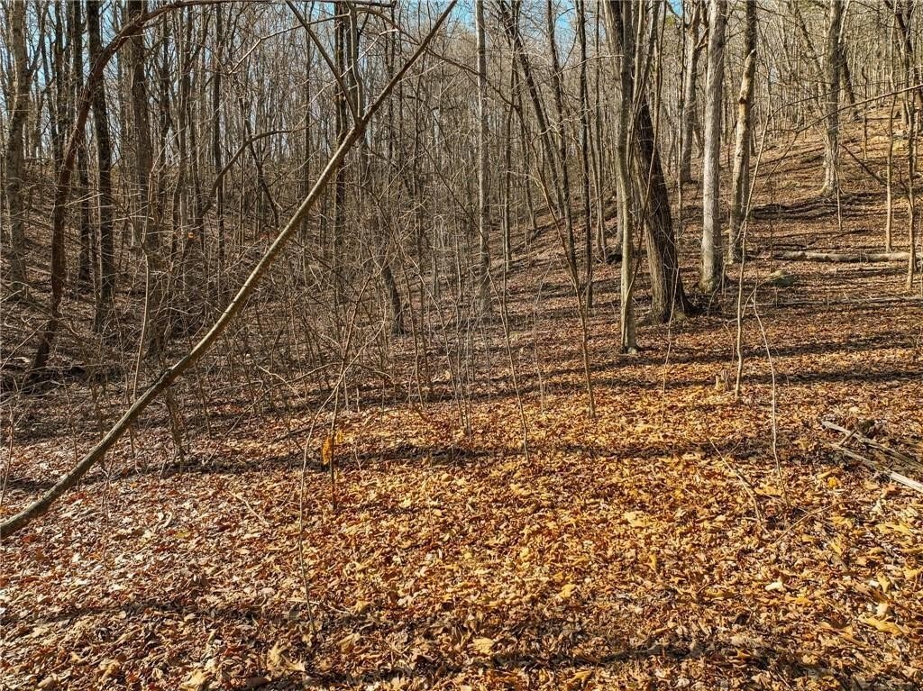Picture 8