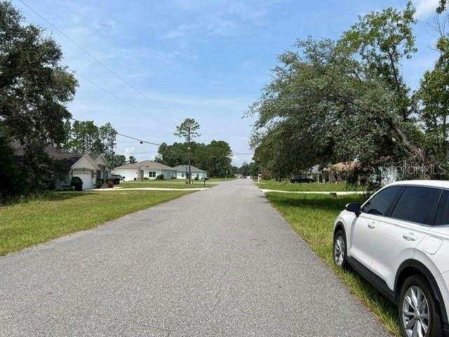 Picture 5