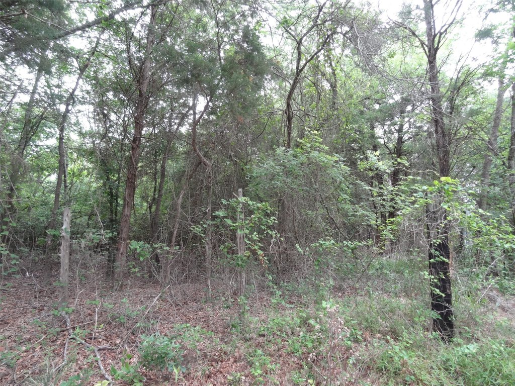 Picture 9