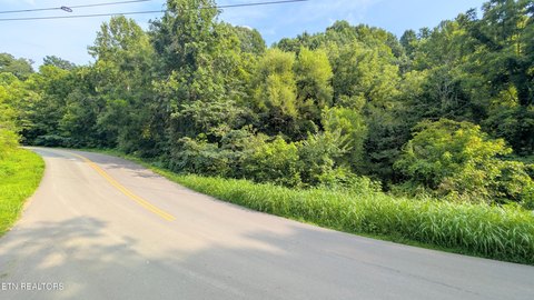 Lots & Acreage, Sevierville, TN