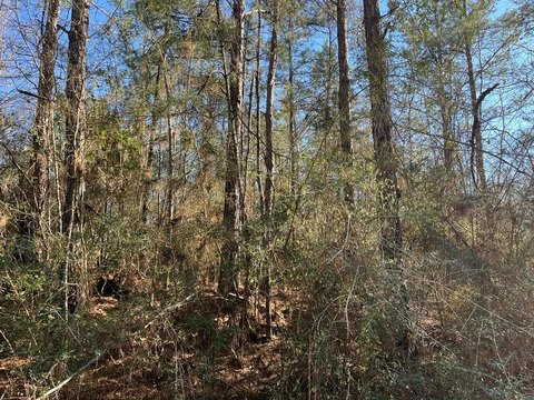 Lumberton, MS Undeveloped Lot