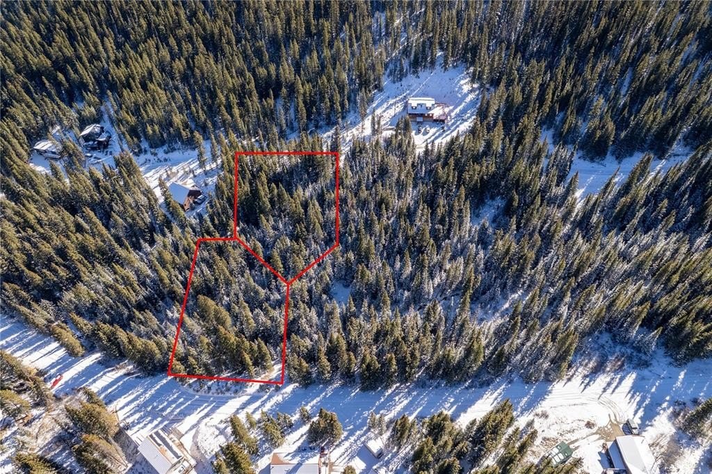 Wooded Land Near Downtown Breckenridge