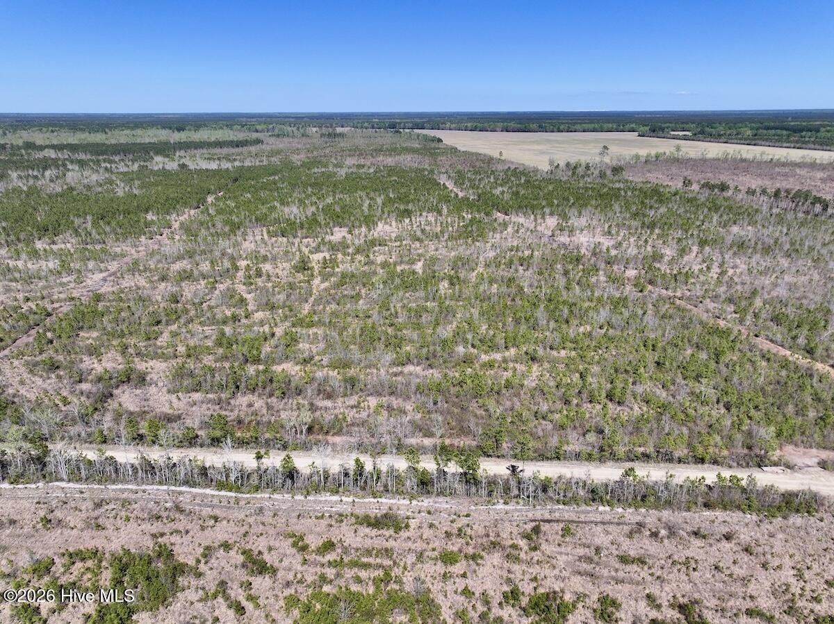Eastern NC Recreational Land
