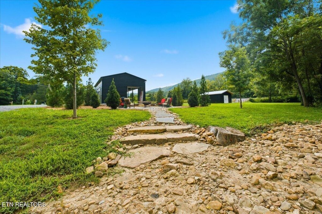 Picture 8