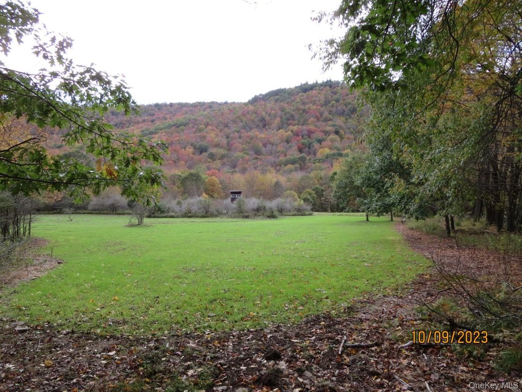 Picture 7