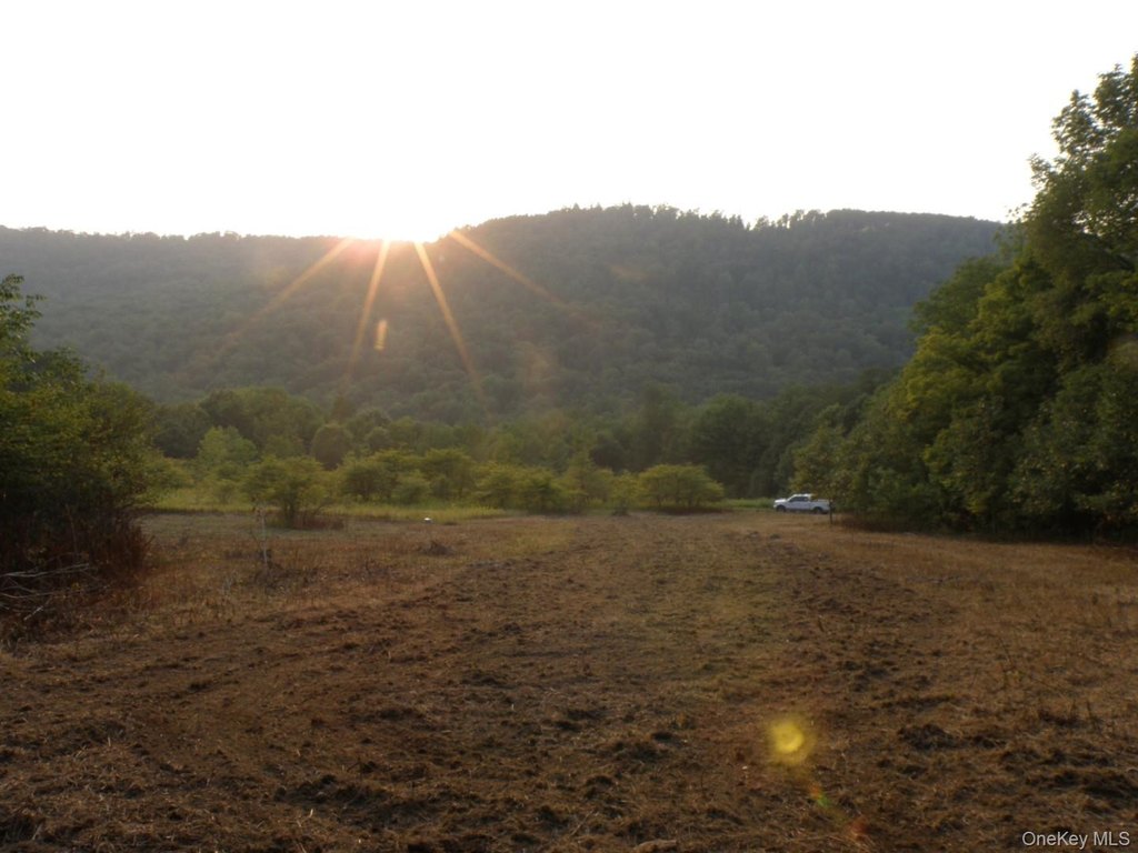 Picture 6