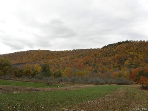 Land, Hamden, NY