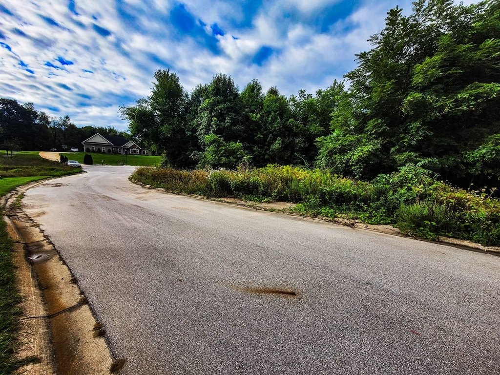 Picture 2