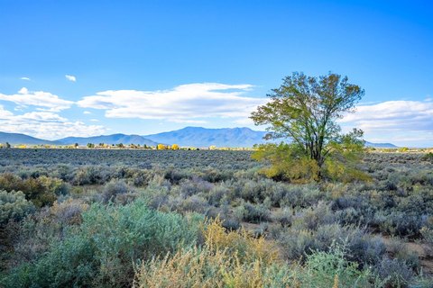 42 Acres Development Opportunity, Taos