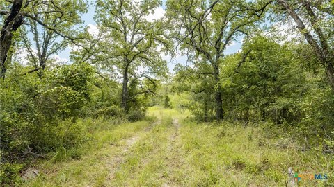 Secluded Wooded Acreage Near Lake Granger