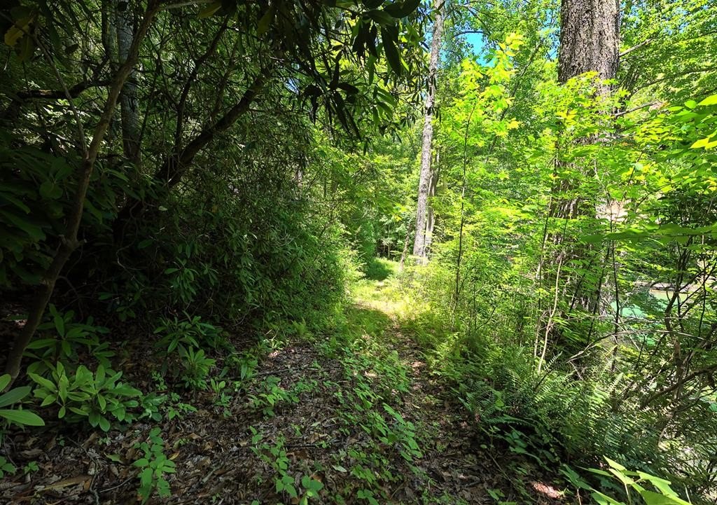 Picture 28