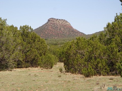 Land, Bernal, NM