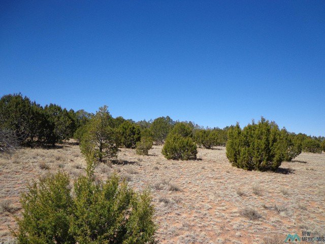 Picture 13