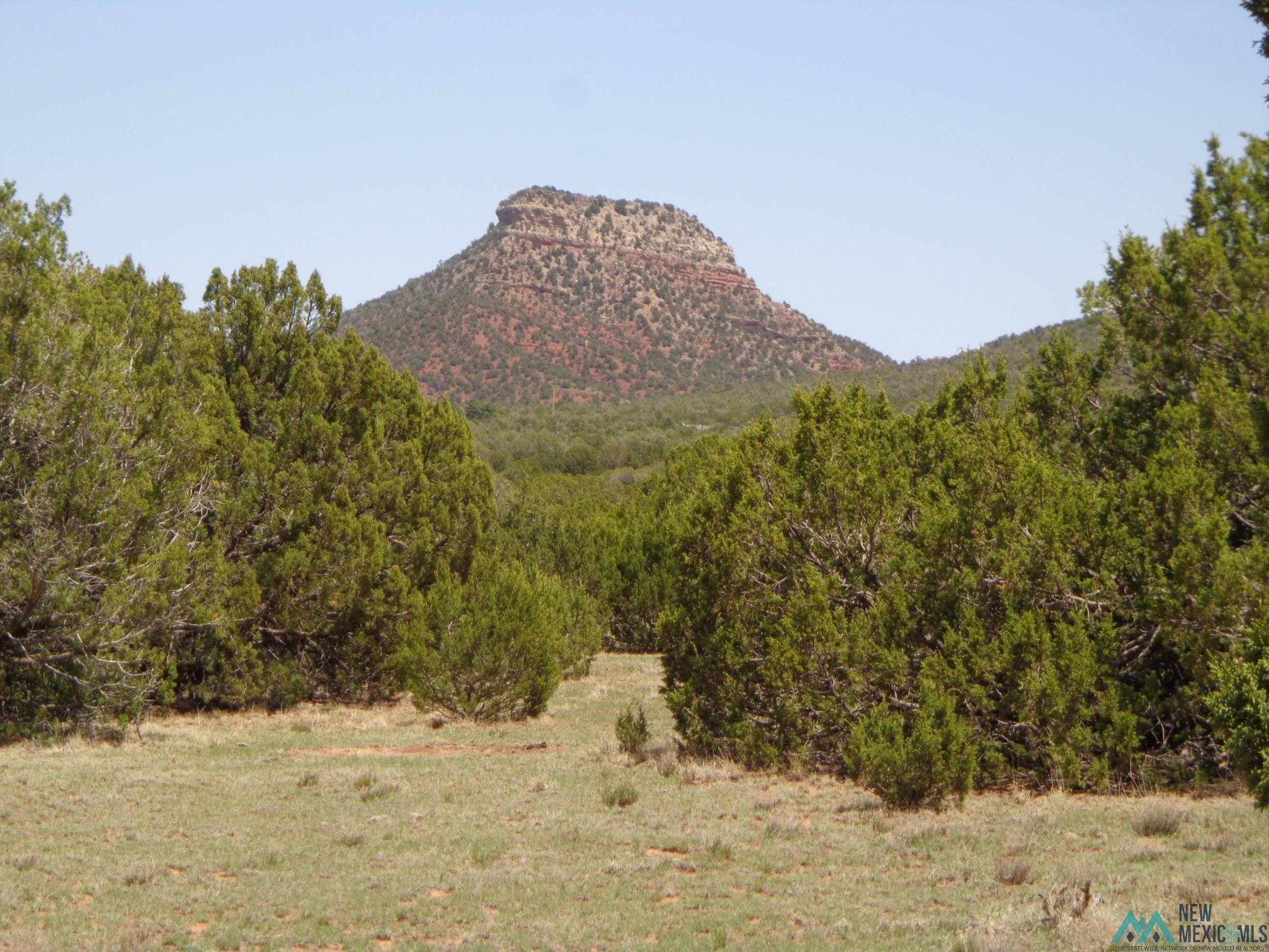 Land in Bernal, New Mexico