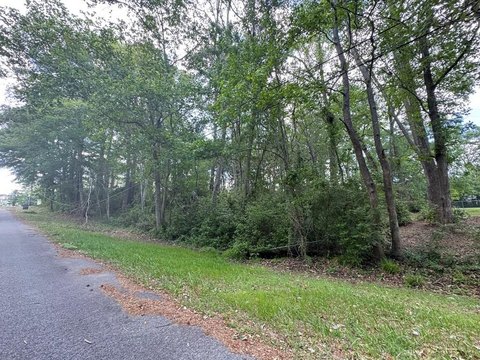 Residential Lot Near Shopping