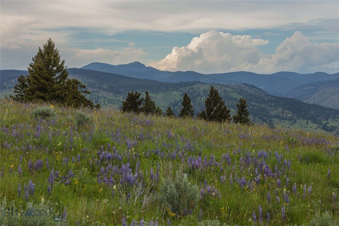 Montana Land Near Forest Service