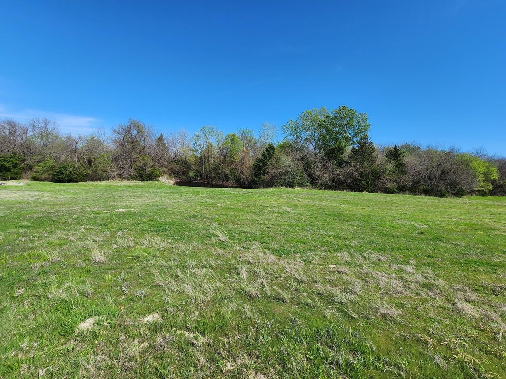 Picture 9