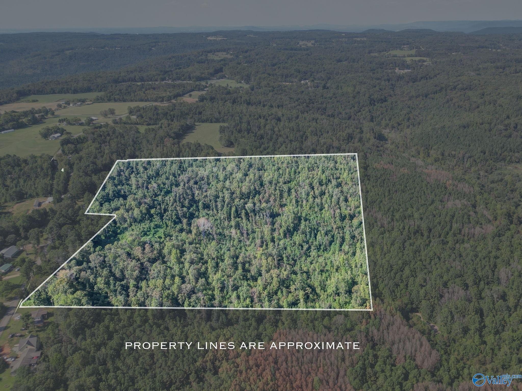 Union Grove Wooded Land