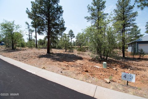 Land in Show Low, AZ