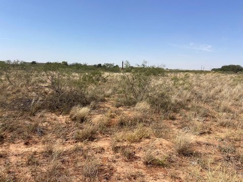 Midland, TX Land Available