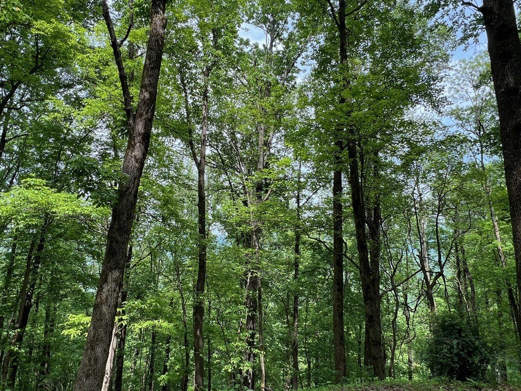 Picture 18