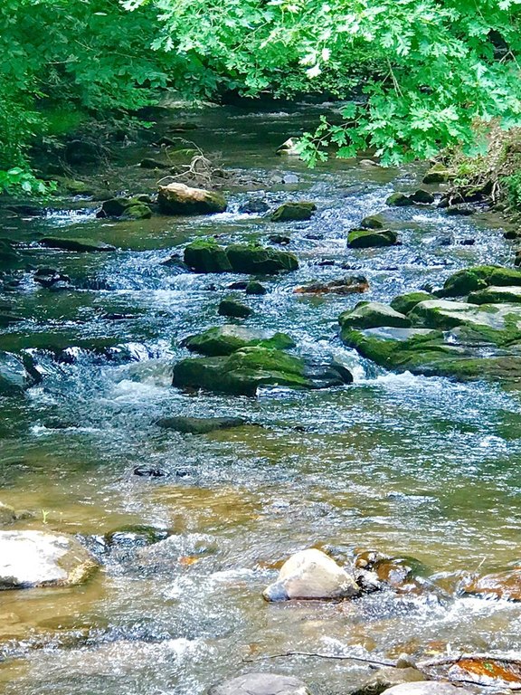 Picture 15