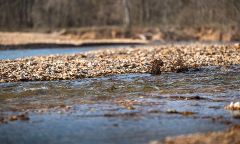 824+/- Acre Hunting/Recreational Land