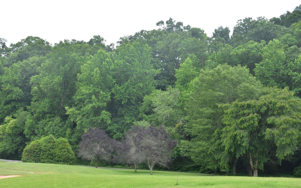 Picture 15