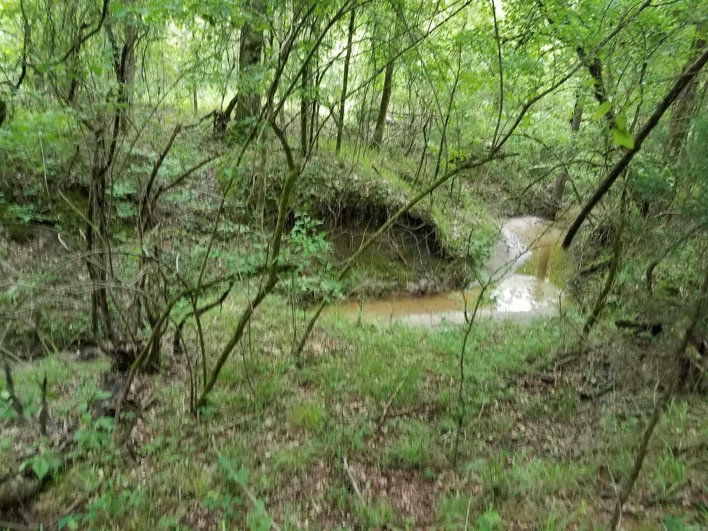 Picture 18