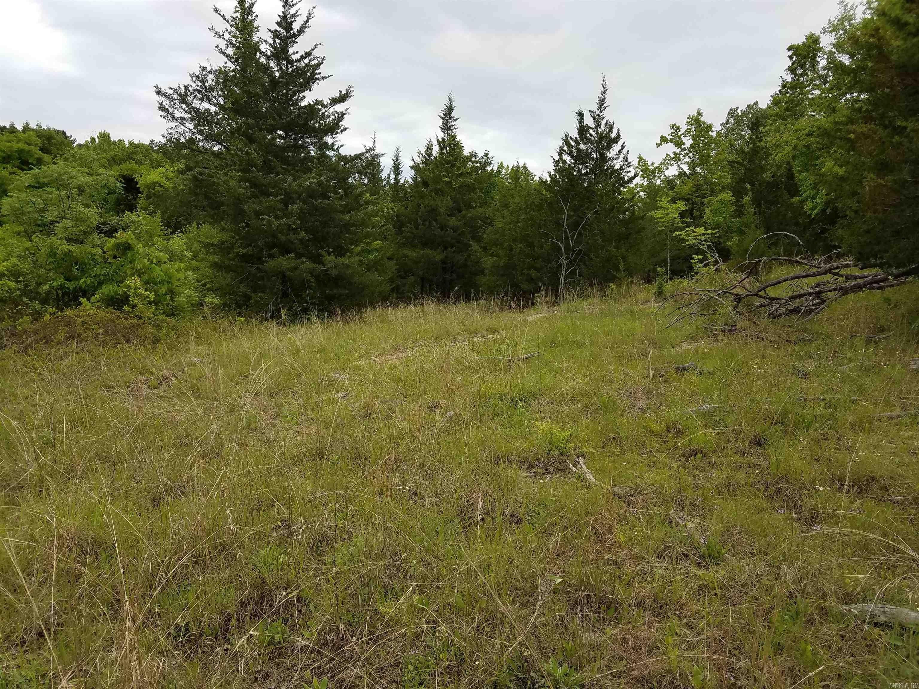 Saratoga Land with Highway Frontage