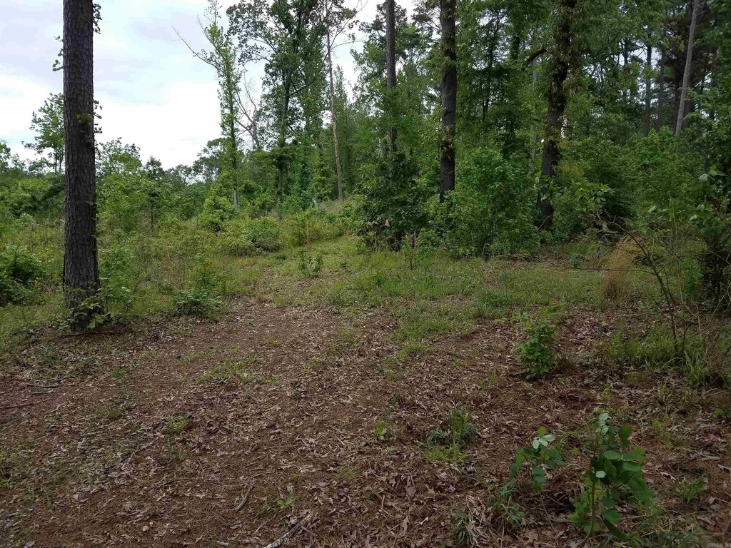 Picture 11