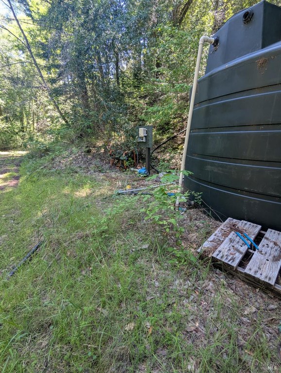 Picture 6