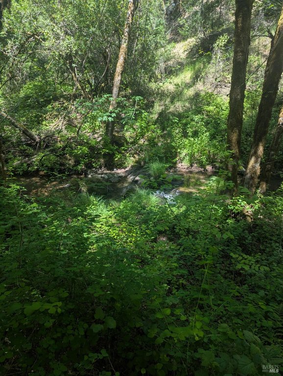 Picture 19