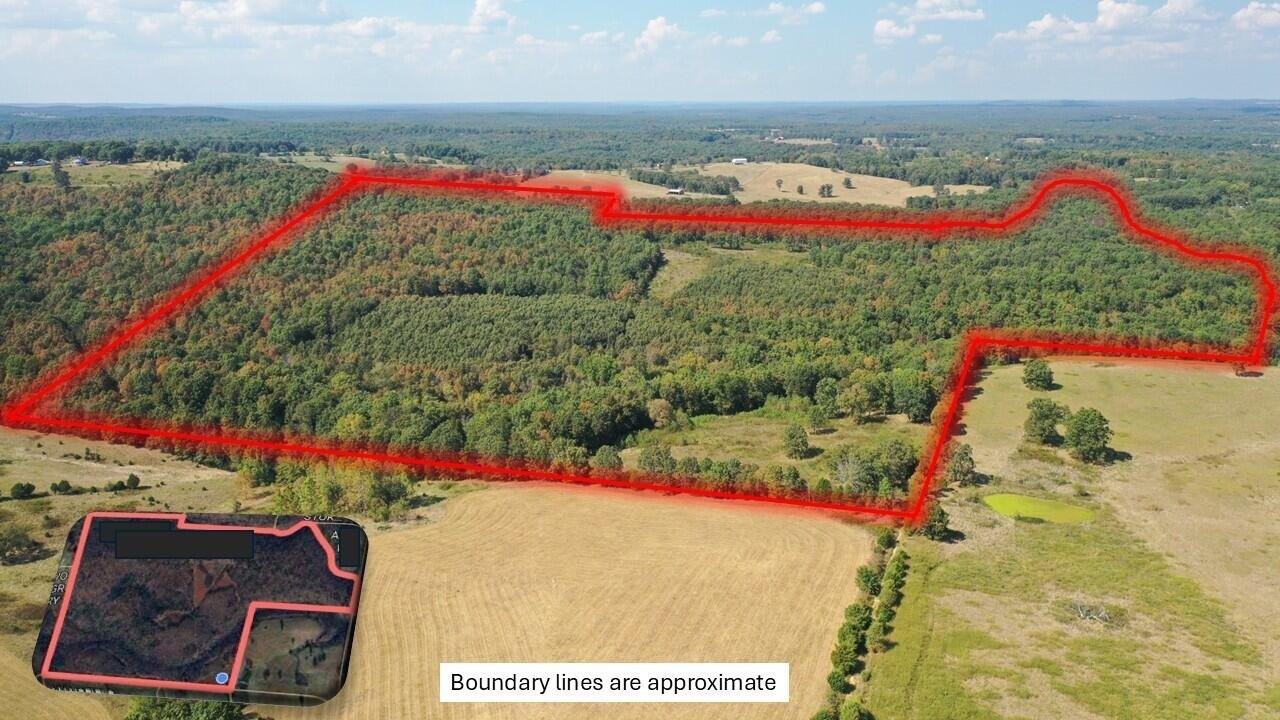 190 Acres of Hunting Paradise