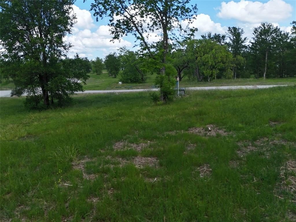 Picture 9