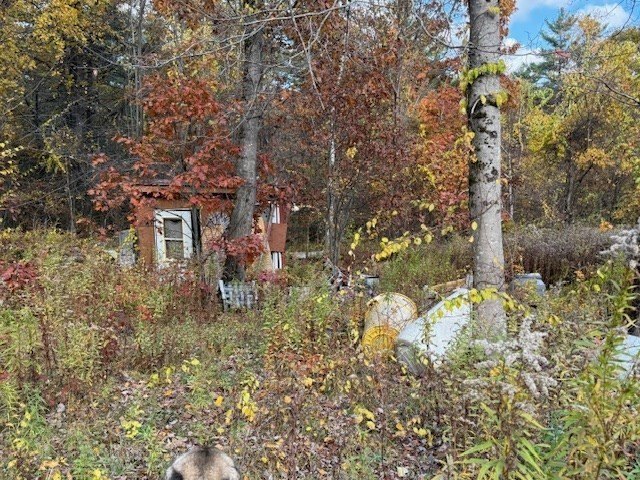 Wooded Land Parcel in Ashburnham